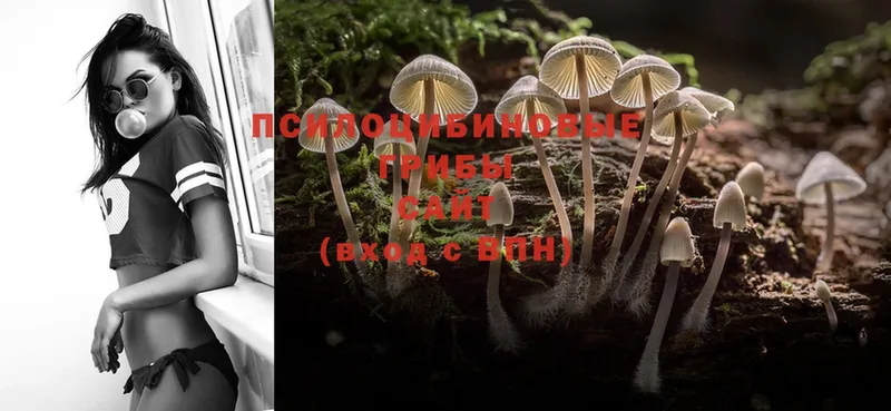 Галлюциногенные грибы Magic Shrooms  гидра ТОР  Барыш 